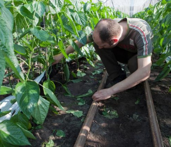 A la espera de las conclusiones del «Diálogo estratégico sobre el futuro de la agricultura en la UE”