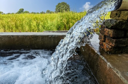 “Génesis”, un proyecto liderado por el CSIC que emplea la IA para mejorar la gestión del agua