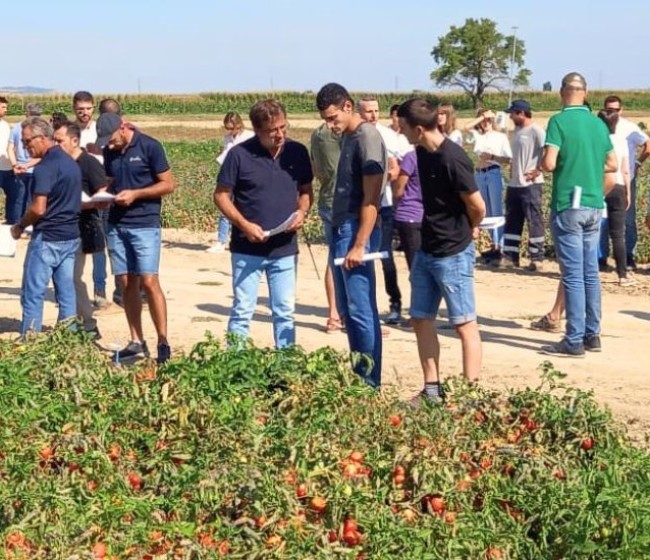 El INTIA celebra una jornada sobre hortícolas de verano el próximo 28 de agosto