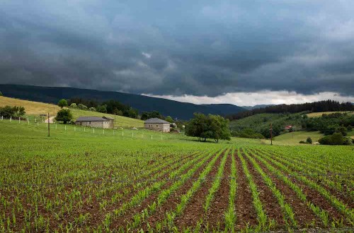 Asturias concede 12,9 millones en ayudas del programa Leader para apoyar 418 proyectos