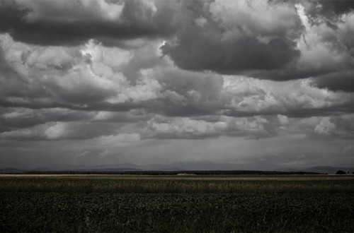 Agroseguro recuerda que los daños registrados en el campo a causa de la DANA están cubiertos por el seguro agrario 