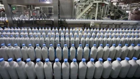 lacteos_industria_leche