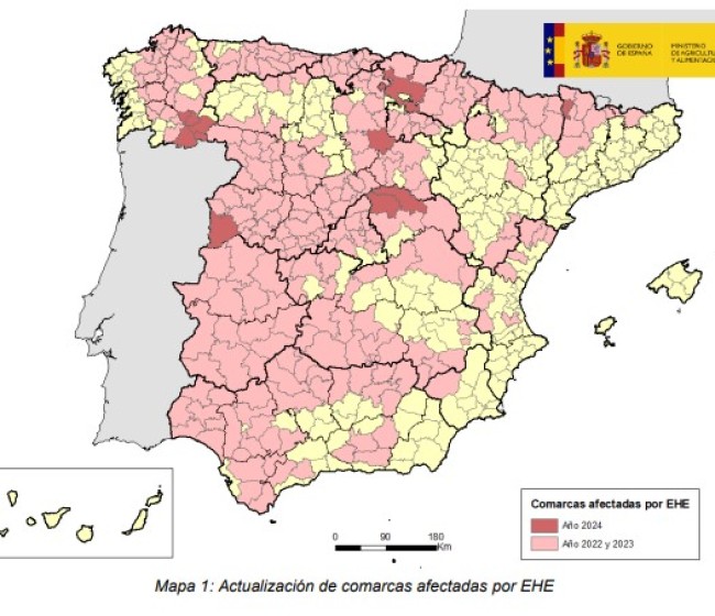 La expansión de la EHE se dispersa en tres nuevas explotaciones de bovino de Álava, Burgos y Lleida