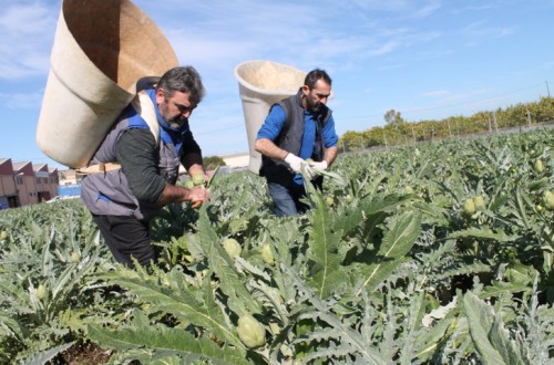 COAG pide reducir también la edad de jubilación en el campo debido a las condiciones penosas y peligrosas del trabajo