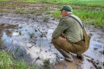 Bruselas propone ayudas de 120 millones para los agricultores afectados por la meteorología en Bulgaria, Alemania, Estonia, Italia y Rumanía