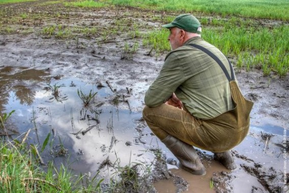 Bruselas propone ayudas de 120 millones para los agricultores afectados por la meteorología en Bulgaria, Alemania, Estonia, Italia y Rumanía