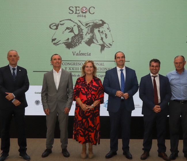 El Congreso de SEOC reúne a más de 200 veterinarios y técnicos del ovino y caprino en la CEU UCH