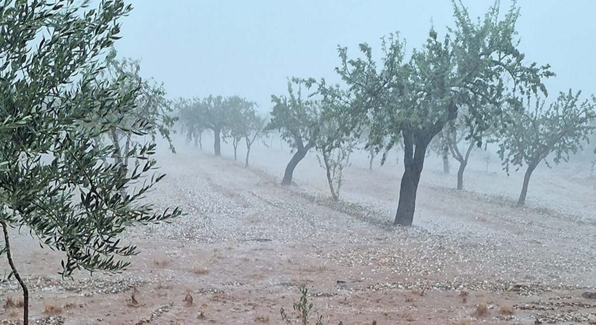 ¿Están cubiertos los daños causados por la dana? ¿Quién debe indemnizarlos?