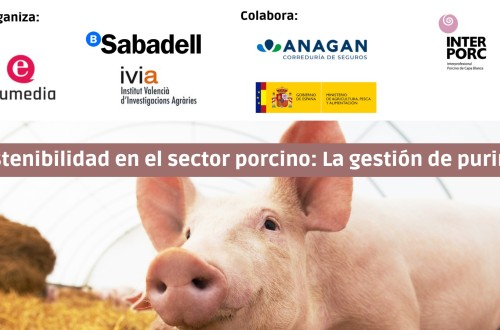 Webinar gratuito: Sostenibilidad en el sector porcino y gestión de purines