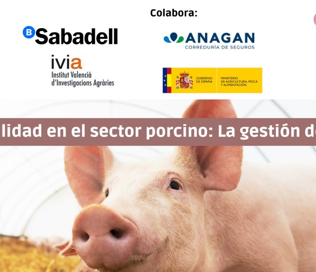 Webinar gratuito: Sostenibilidad en el sector porcino y gestión de purines