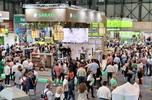 Fruit Attraction 2024: Sakata presentará novedades en melón, brásicas y una calabaza de larga conservación