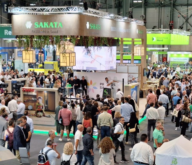 Fruit Attraction 2024: Sakata presentará novedades en melón, brásicas y una calabaza de larga conservación