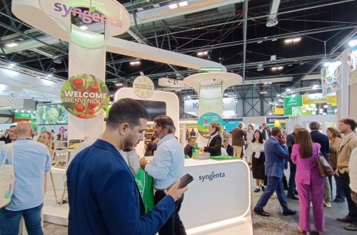 El nuevo maíz dulce Glacial y el bioestimulante Talete, entre las novedades de Syngenta en Fruit Attraction