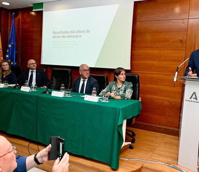 Andalucía prevé una producción de más de un millón de toneladas de aceite de oliva en la próxima campaña