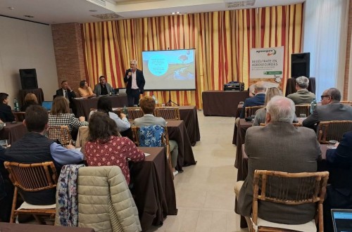 Agroseguro presenta en Castilla-La Mancha las novedades de los seguros de herbáceos, uva de vino y olivar para la próxima campaña