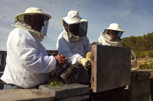 La Unió reclama que las ayudas por la sequía incluyan viñedo, frutos secos y apicultura