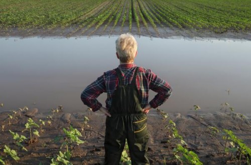 La CE toma nuevas medidas para ayudar a los Estados a recuperarse de las catástrofes climáticas