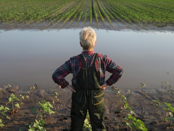 La CE toma nuevas medidas para ayudar a los Estados a recuperarse de las catástrofes climáticas