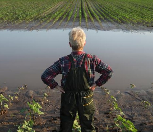 La CE toma nuevas medidas para ayudar a los Estados a recuperarse de las catástrofes climáticas