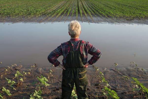 La CE toma nuevas medidas para ayudar a los Estados a recuperarse de las catástrofes climáticas