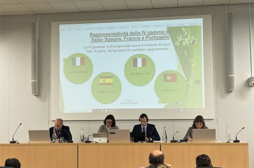 España, Francia, Italia y Portugal impulsarán las cláusulas espejo para asegurar la competitividad hortofrutícola