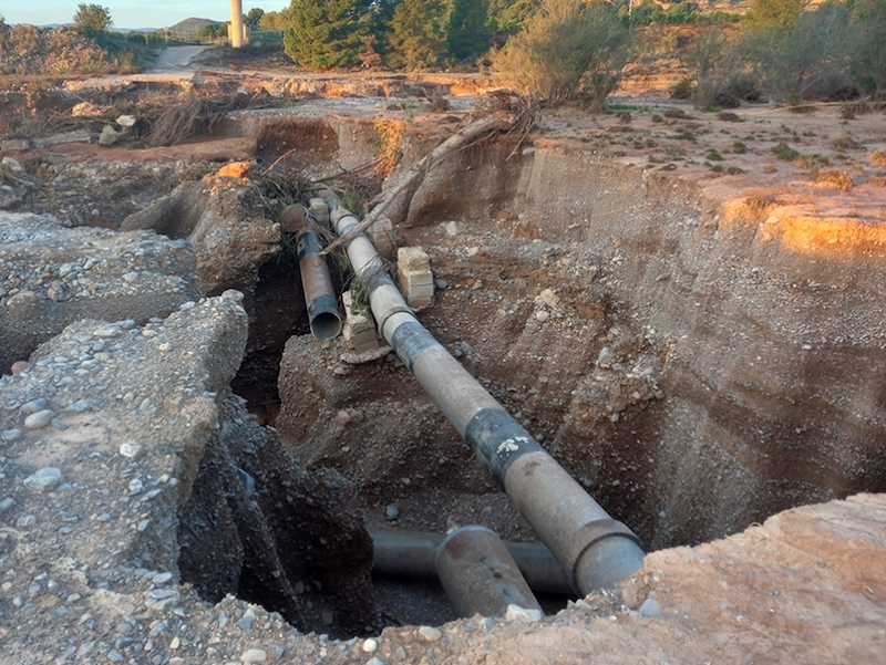 AVA-Asaja eleva a 1.379 millones las pérdidas en la agricultura de la Comunidad Valenciana por la dana