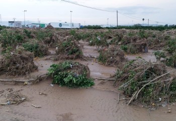 El Gobierno amplía el alcance de las medidas agrarias por la dana a más explotaciones