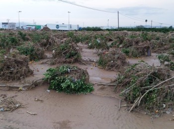 La Unió pide ayudas directas para que los agricultores reparen sus daños sin tener que esperar la actuación de Tragsa