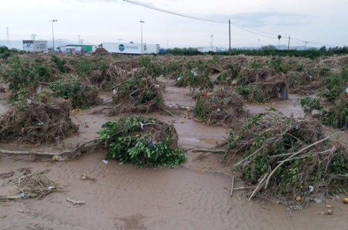 La Unió pide ayudas directas para que los agricultores reparen sus daños sin tener que esperar la actuación de Tragsa