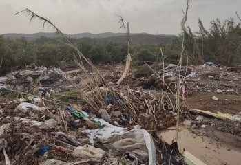 Asaja alerta de «graves daños» en explotaciones de la Axarquía y el Guadalhorce (Málaga) tras la dana