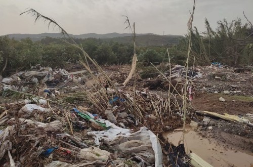 Asaja alerta de «graves daños» en explotaciones de la Axarquía y el Guadalhorce (Málaga) tras la dana