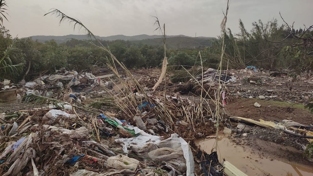 Asaja alerta de «graves daños» en explotaciones de la Axarquía y el Guadalhorce (Málaga) tras la dana