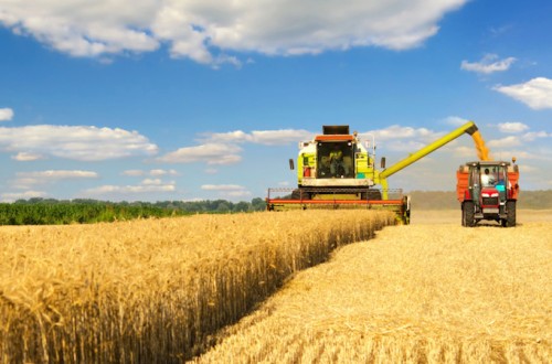 En 2022, la producción agrícola de la UE ascendió a 524.000 millones: la producción vegetal es mucho mayor que la animal