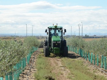 El MAPA anuncia ayudas extraordinarias por 9,7 millones de euros para reponer maquinaria agrícola afectada por la dana