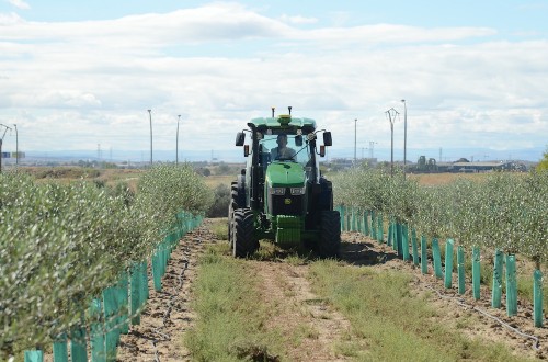 El MAPA anuncia ayudas extraordinarias por 9,7 millones de euros para reponer maquinaria agrícola afectada por la dana