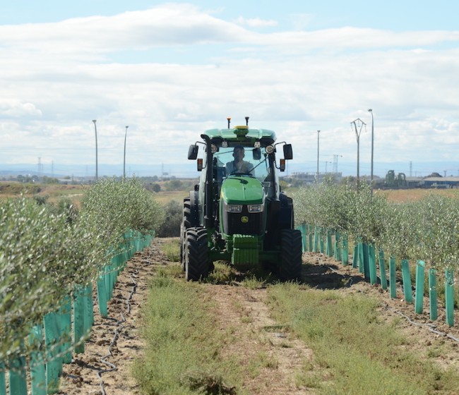 El MAPA anuncia ayudas extraordinarias por 9,7 millones de euros para reponer maquinaria agrícola afectada por la dana