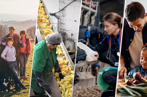 La Comisión Europea pone en marcha el Consejo Europeo de Agricultura y Alimentación