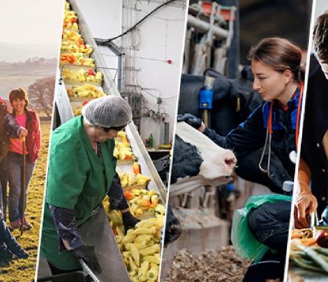 La Comisión Europea pone en marcha el Consejo Europeo de Agricultura y Alimentación