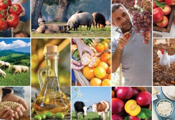 Perspectivas agrícolas de la UE 2024-35: un sector resistente que se adapta