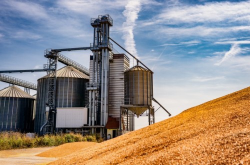 La productividad de la mano de obra agrícola de la UE aumentará un 1,6% en 2024