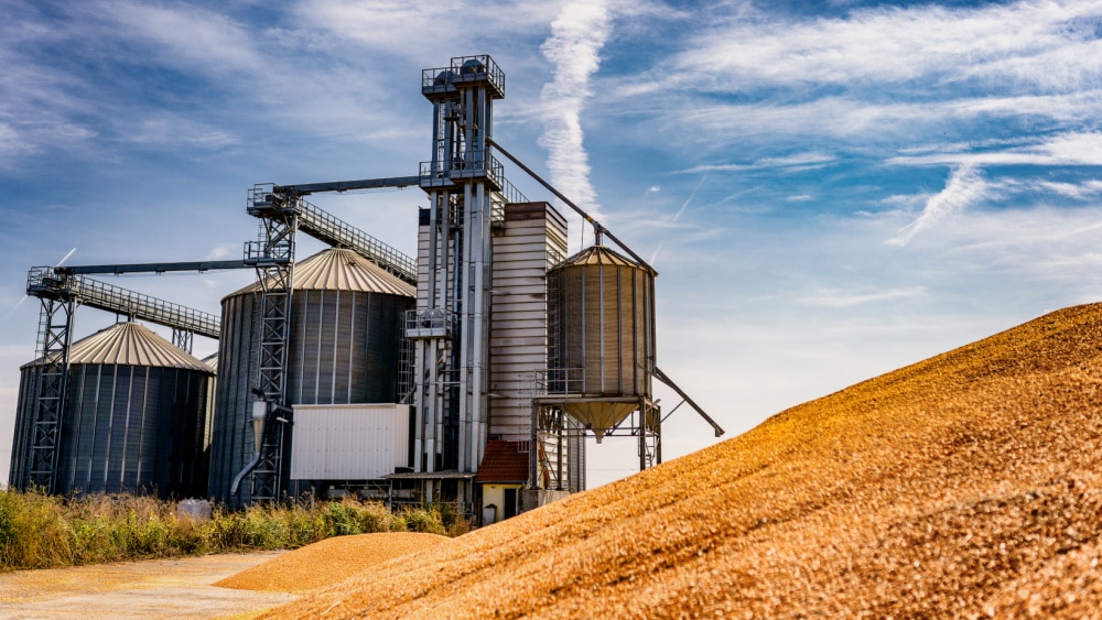 La producción de la industria alimentaria bajó un 3,4% anual en noviembre