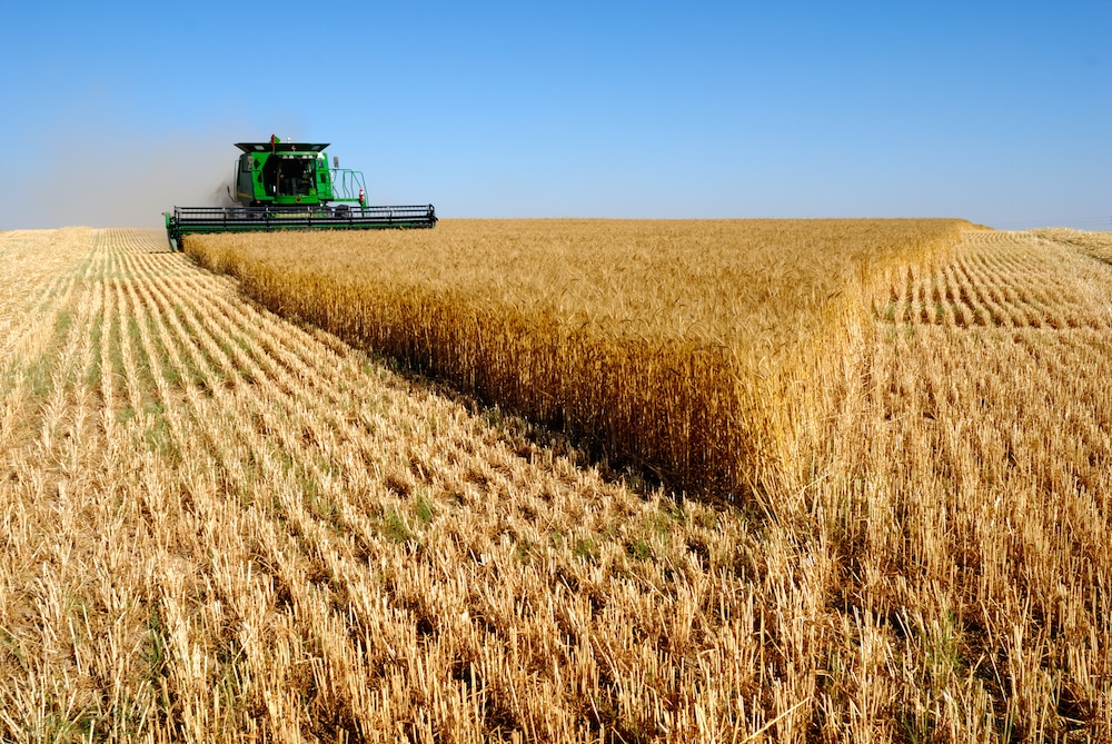 La renta agraria aumenta un 14,2% en 2024, se sitúa en 37.759 millones