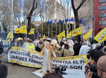 Los apicultores piden más controles a la miel importada y anuncian nuevas movilizaciones