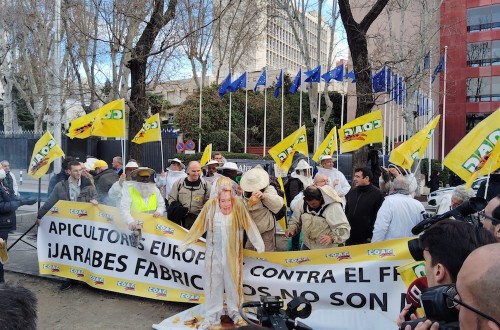 Los apicultores piden más controles a la miel importada y anuncian nuevas movilizaciones