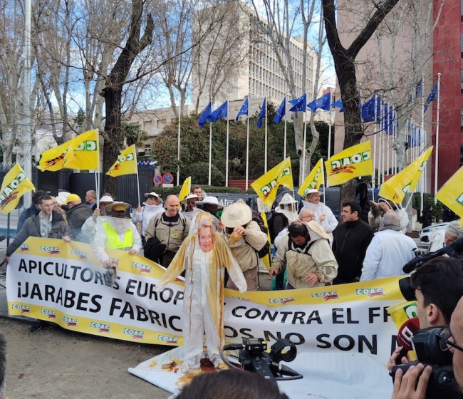 Los apicultores piden más controles a la miel importada y anuncian nuevas movilizaciones