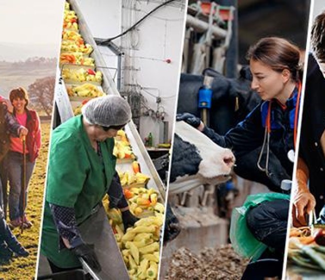 La mayoría del Parlamento Europeo aprueba la hoja de ruta para la agricultura pero advierte de que exigirá un presupuesto sólido