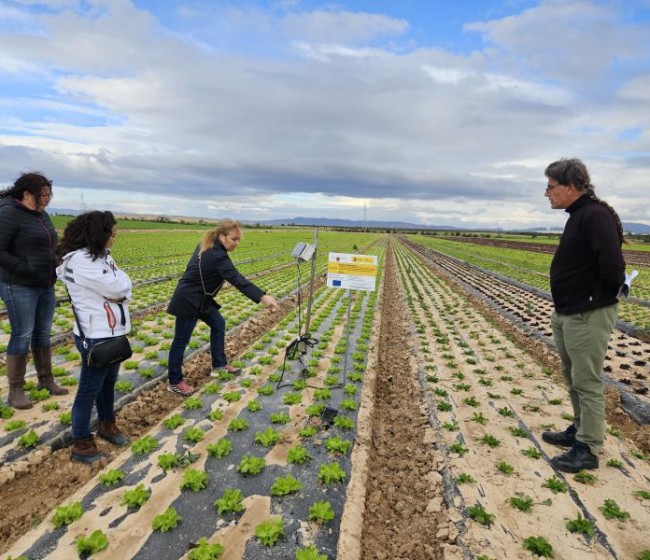 El proyecto Nitrosfera estudia en Murcia la incorporación de microorganismos para mejorar la fertilización del suelo y reducir nitratos