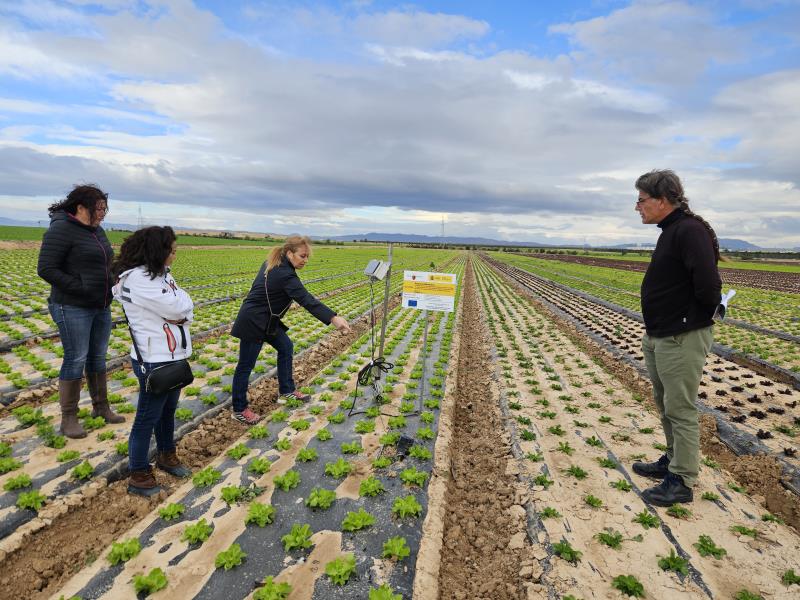 El proyecto Nitrosfera estudia en Murcia la incorporación de microorganismos para mejorar la fertilización del suelo y reducir nitratos