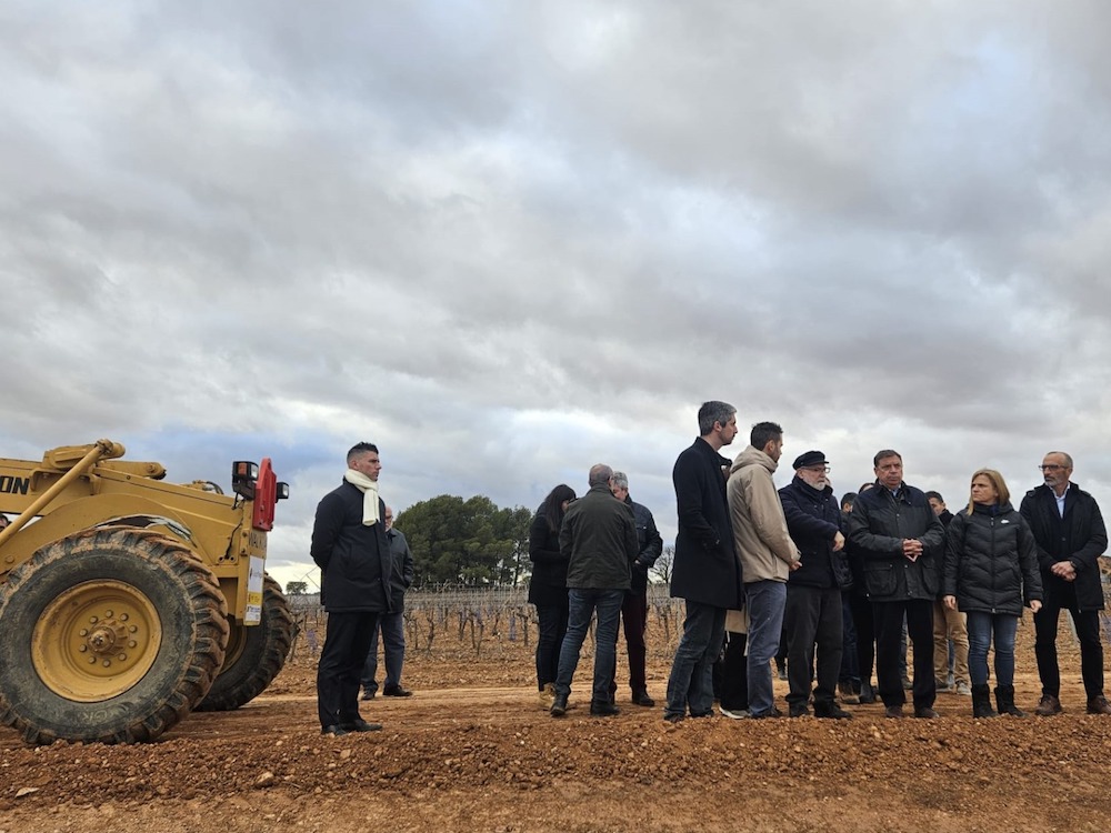 Planas asegura en Valencia que se trabaja en la reparación de caminos, regadíos y explotaciones con una inversión de 170 millones