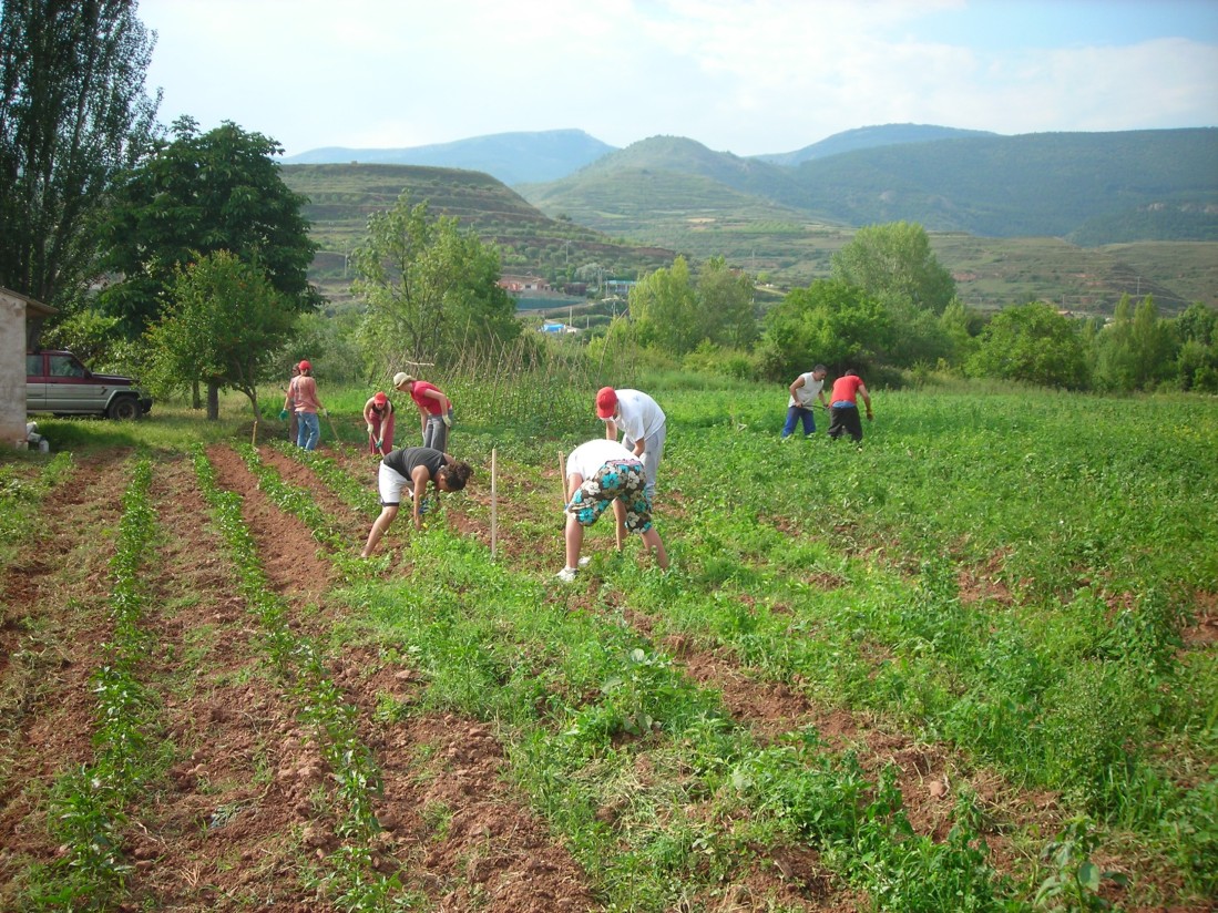 El FEGA asigna 8,85 millones en derechos de la PAC a 2.010 agricultores